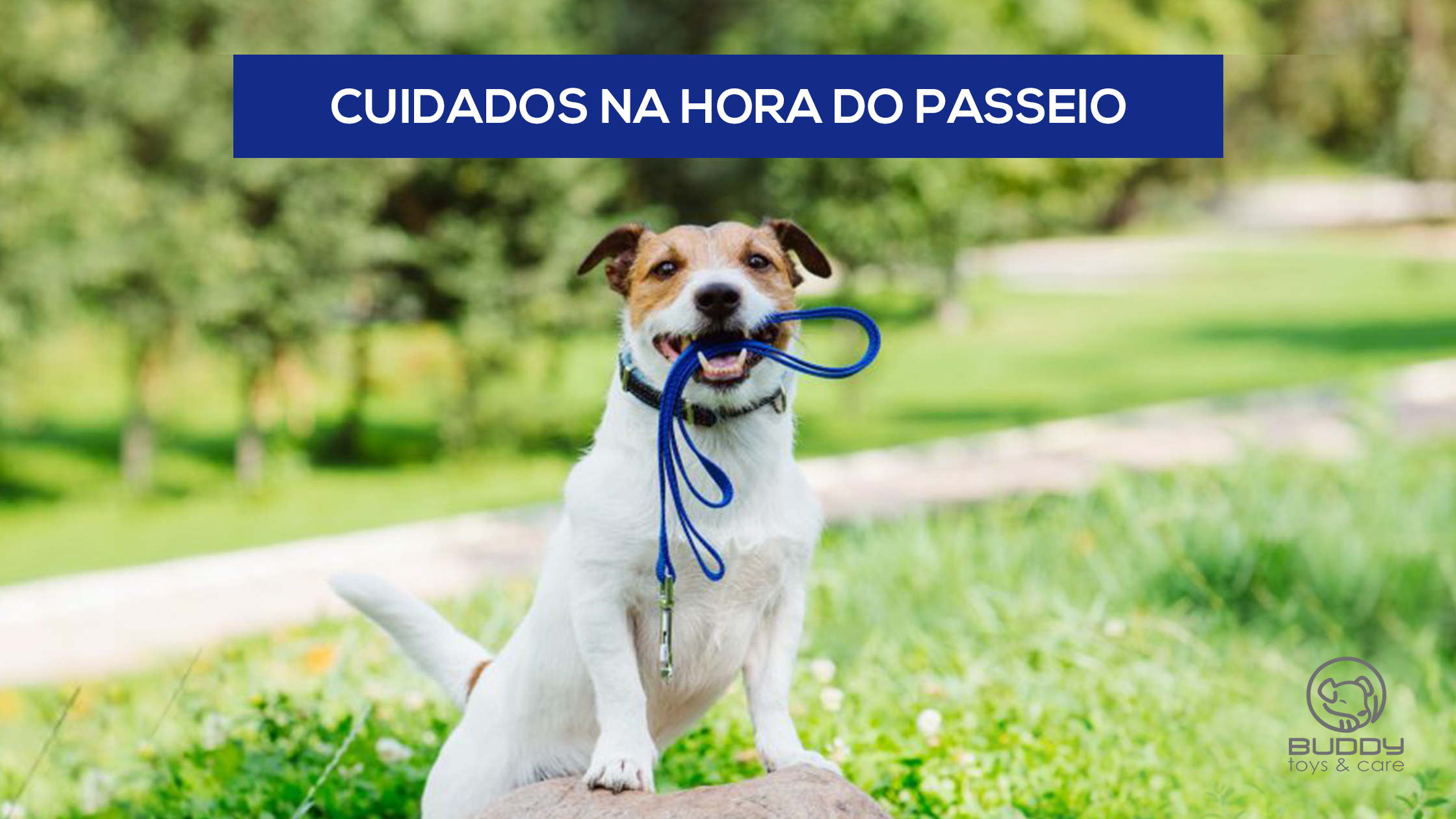 Cuidados na hora do passeio